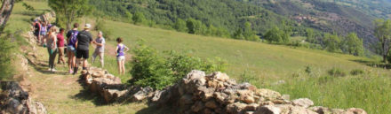 Voluntariat