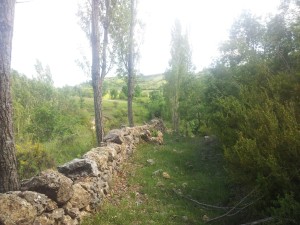Camí de Castell-estaó a Antist. Etapa 3 del Cinquè Llac. Voluntariat holandesos (Universitat Breda)