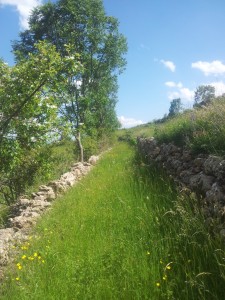 Camí de Castell-estaó a Antist. Etapa 3 del CInquè Llac. Voluntariat holandesos (Universitat Breda)