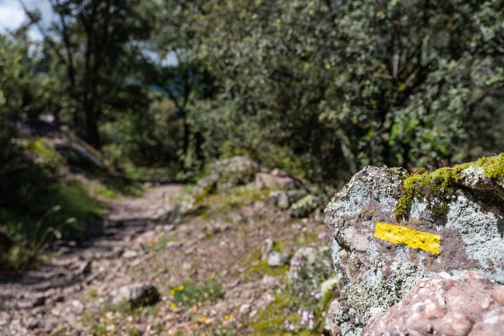 Bosc de l'Obac - El Cinquè Llac