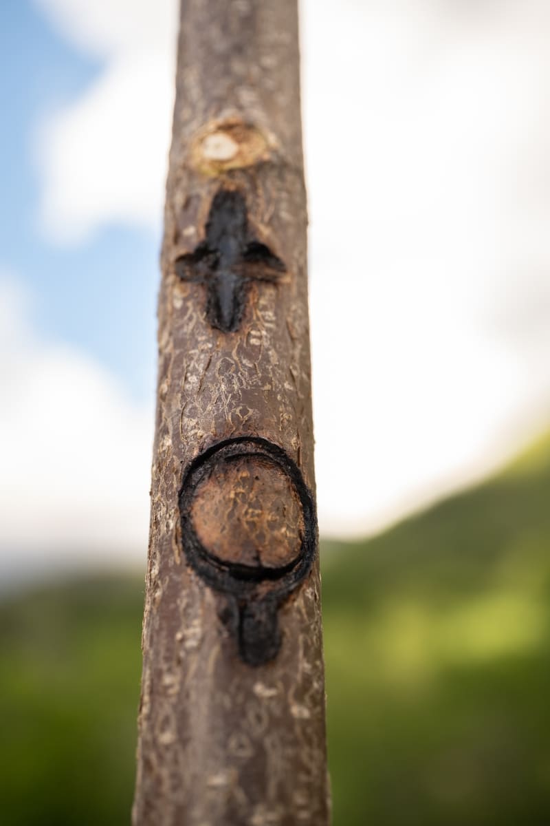 Ganxo de pastor a Beranui durant el cinquè llac