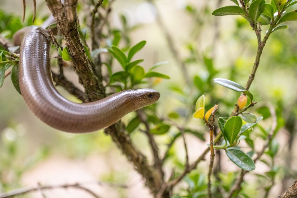 Primera etapa El Cinquè Llac